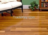 Teak Wood