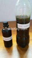 Tamanu Oil (Unrefined)