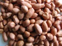 PEANUTS/GROUNDNUTS