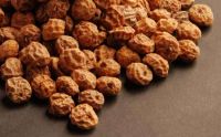 Tiger Nuts