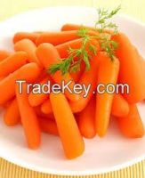 Canned carrot