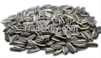 High Quality Sunflower Seed