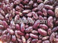 Purple kidney beans