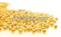 Natural Soya Extract Powder