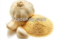 DEHYDRATED GARLIC POWDER