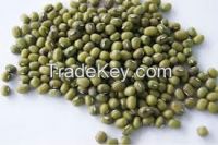 Green mung beans