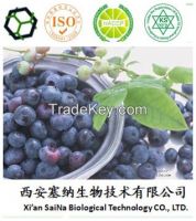 Bilberry Extract/ Vaccinium vitis-idaea Linn. /Anthocyanins 15%