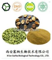 Green Coffee Bean Extract/Chlorogenic Acid
