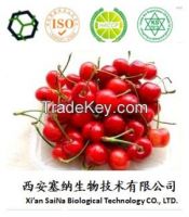 ISO, Kosher Certificate Acerola Cherry Extract / Vitamin C 17% 25% HPLC