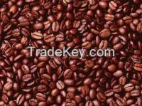 Arabica Coffee Beans