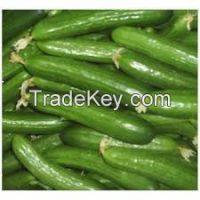 Fresh Cucumber