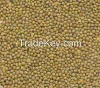 Soybeans