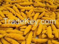 Dried Turmeric Finger