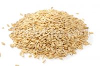 Oats