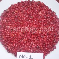 Red Kidney Bean