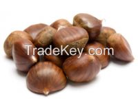 Chestnuts