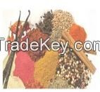 Spices & Extract