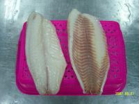 Frozen Non CO treated Tilapia Fillet