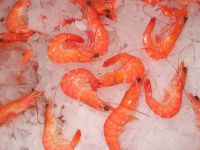 Sell Vannamei shrimp, CHOSO