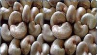 SELL RAW CASHEW NUTS IN SHELL