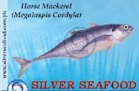 HORSE MACKERAL/SARDINE/MULLET