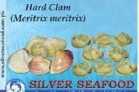 SELL:HARDCLAM/BABY CLAM/TOP SHELL/FAN SHELL/RAZOR CLAM