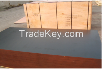 Hot selling!!!! Factory direct sale price shuttering plywood