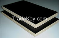 Hot selling!!!! HPL plywood