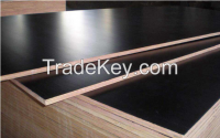 Hot selling!!!! Black film faced plywood