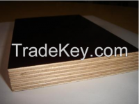 Hot selling!!!! Good quality marine plywood