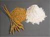 Sell wheat Flour Morocco