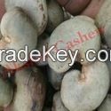Raw Cashew nut For Sell