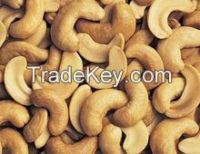 Vietnam Cashew Nut WW240