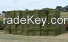 Alfalfa Hay Bales for Animal Feed.