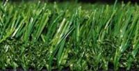 Sell Artificial Grass and Synthetic Grass  and Artificial turf