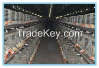 poultry cages for chicken