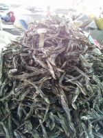 For Sale Dried Anchovy