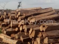 We sell Kosso wood from Taraba in Nigeria