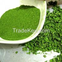 moringa powder