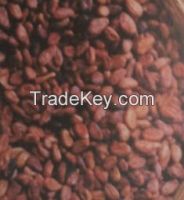 Sell-Cocoa Beans