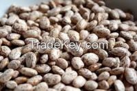 Arabicacoffee beans , beans products, black beans, broad beans, butter beans, chick peas , coacoa beans, fresh bean, kidney beans, lentil, lima beans, mung beans, peas