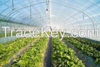 sell Commercial greenhouse