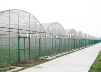 sell Mutil-Span Film Greenhouse (BZ-FG-1212)