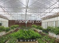 sell PC Greenhouse for Flower (PC-05)