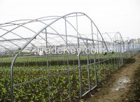 sell Polytunnel