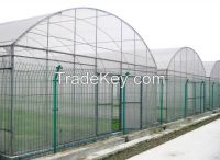 sell Single Span Tunnel Film Greenhouse