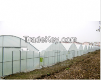 sell Polytunnel