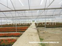 Commercial Grower