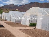 Film greenhouses