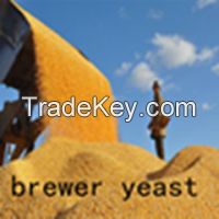 sell chinese products&brewer yeast